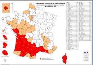 Termites nantes Termites nantes